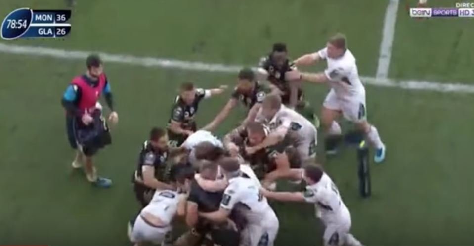 WATCH: Ref knocked down as Glasgow and Montpellier tear into each other like wild animals