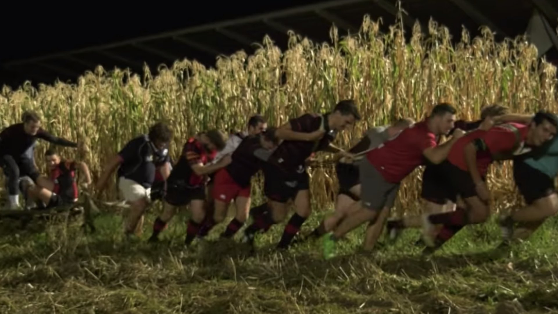 WATCH: Rugby club turns to farming to help with team fitness