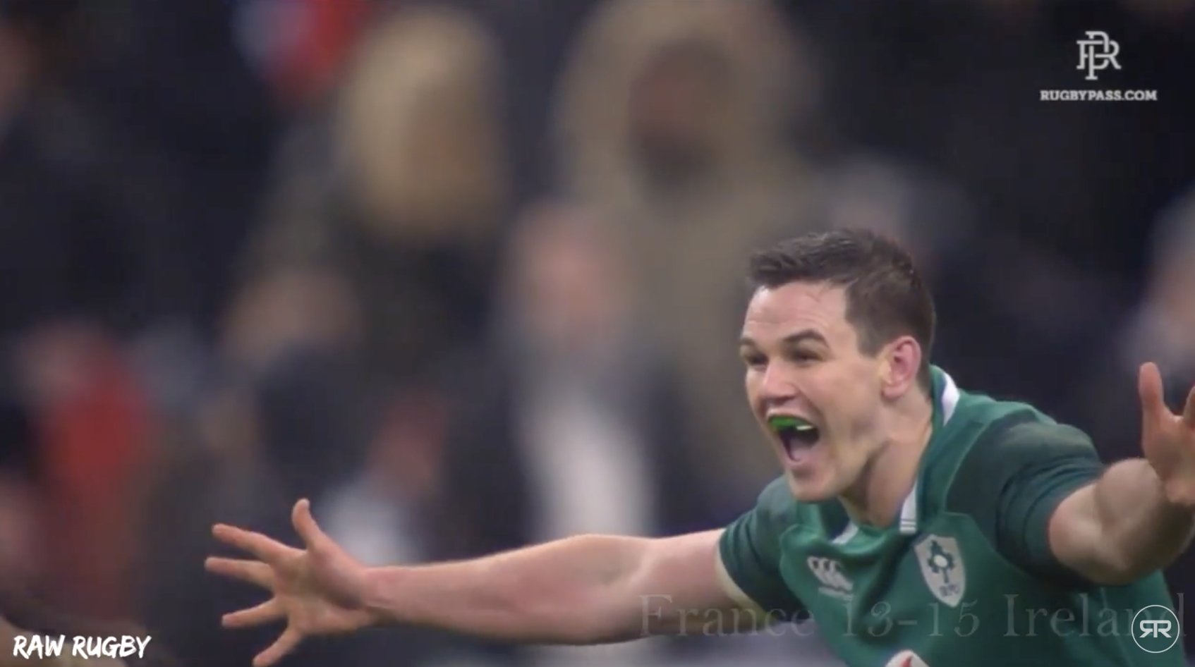 WATCH: Fans have made an emotional tribute to Ireland's 2018 and it's borderline EPIC