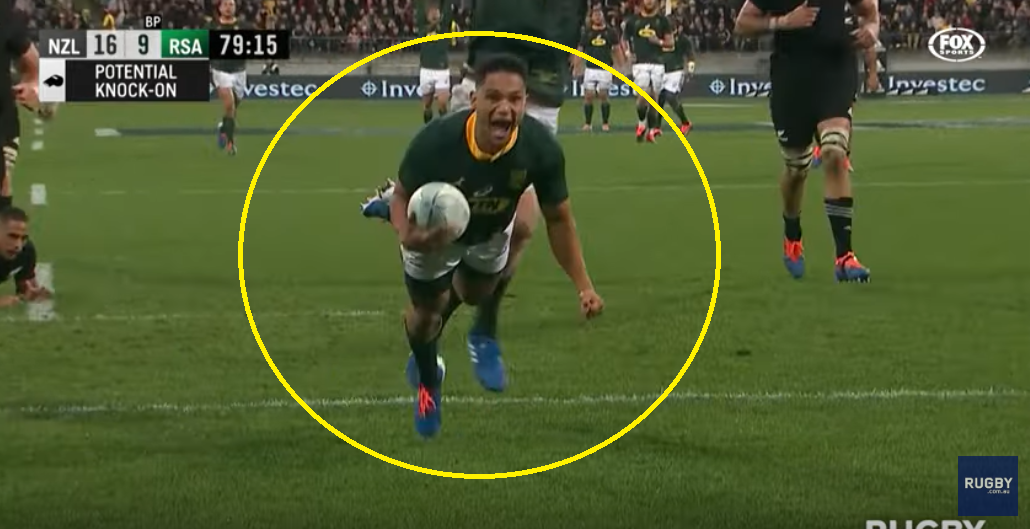 All Blacks RWC hopes in tatters after Springboks destroy them in Wellington