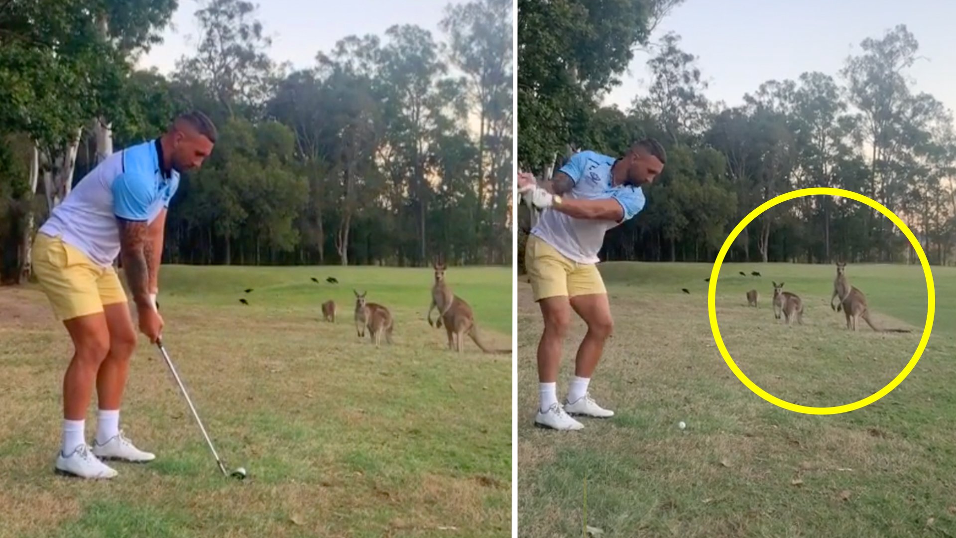 Quade Cooper experiences shock backlash from viral video of him playing golf