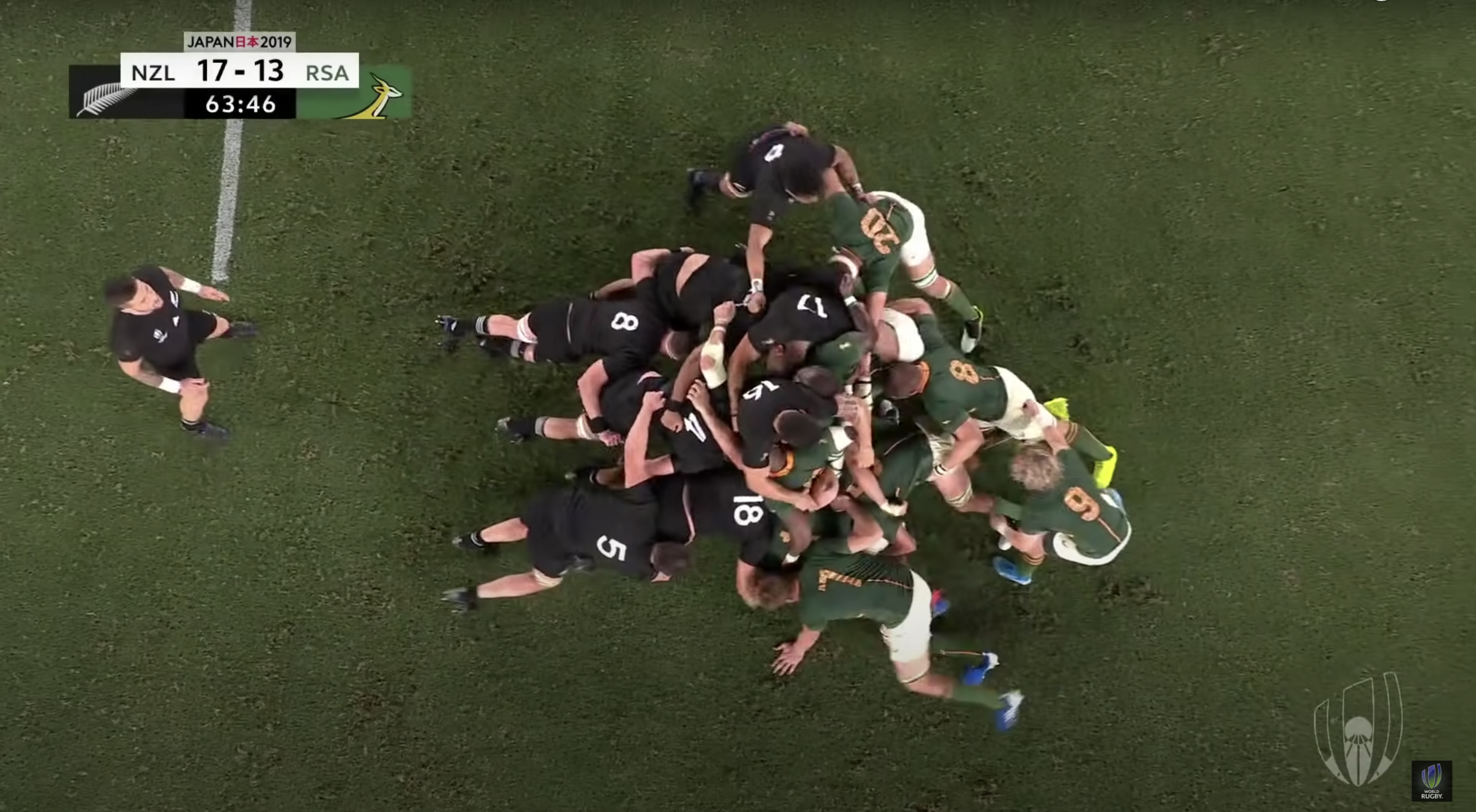 'Hypocrisy indeed': Springboks fans fire back at All Blacks after being ridiculed last year