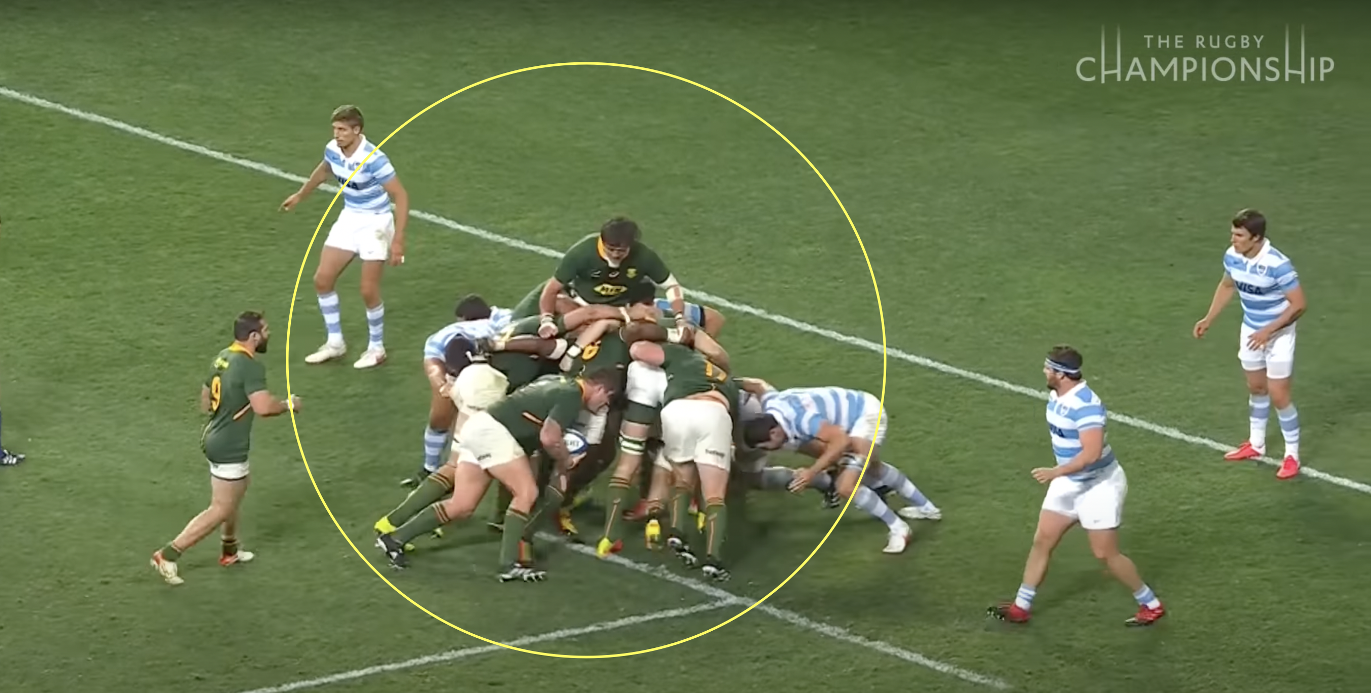 Former Springboks boss goes on passionate defence of their style