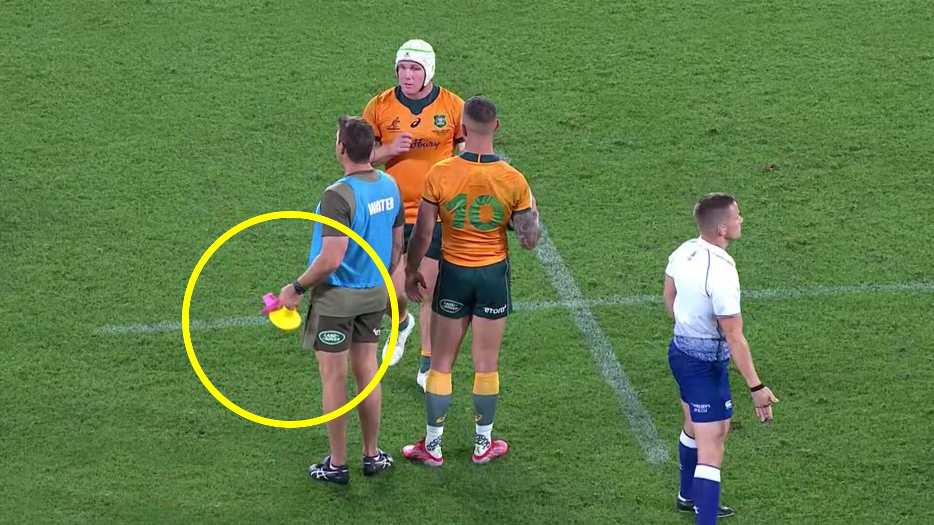 Springbok fans are genuinely trying to blame the referee for their shock loss to Wallabies