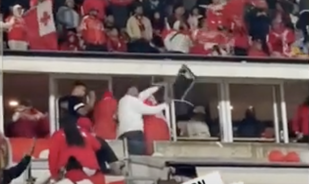 Sickening scenes as huge crowd brawl erupts at New Zealand v Tonga match