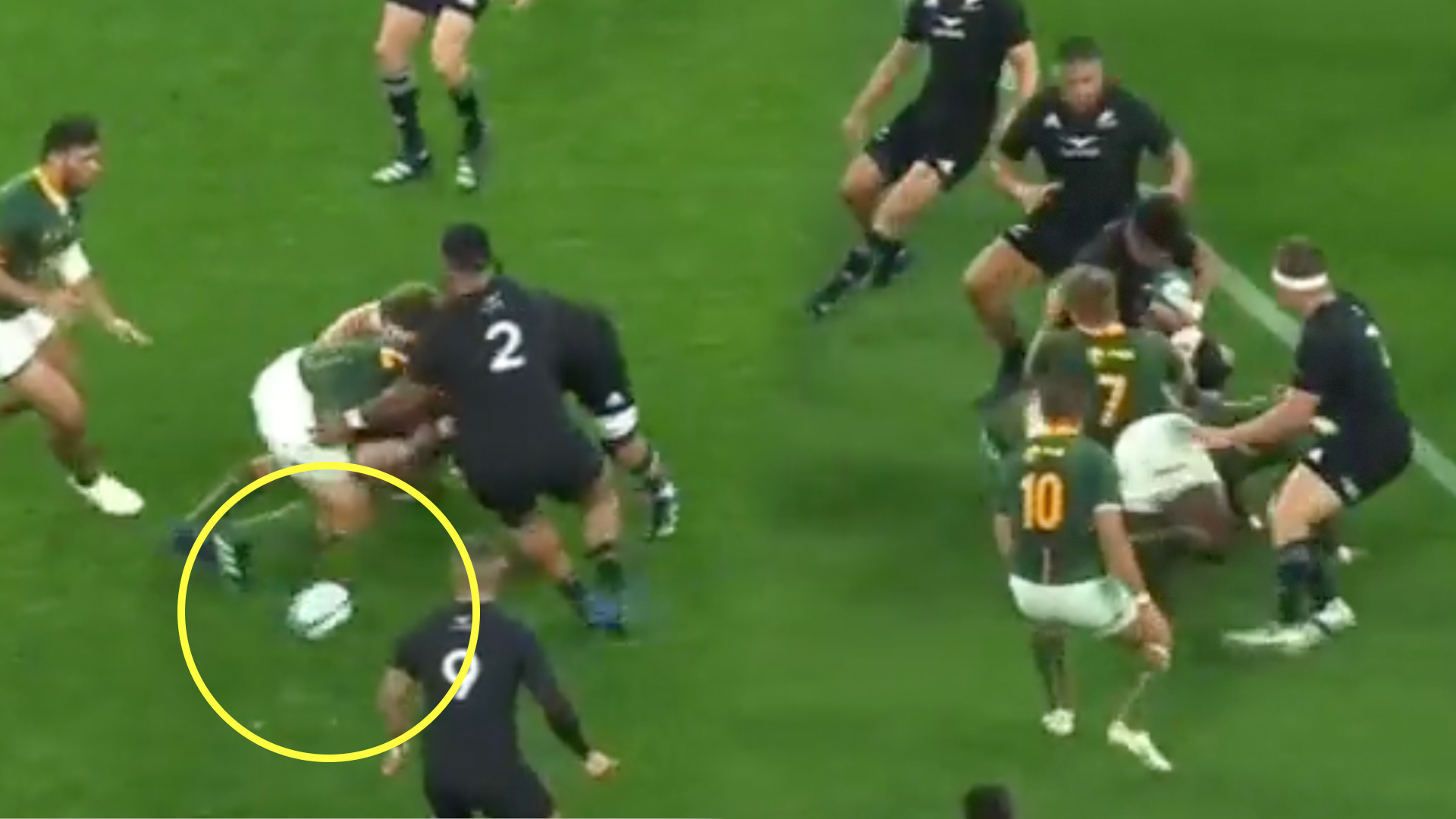 The video everyone must see before writing off the All Blacks