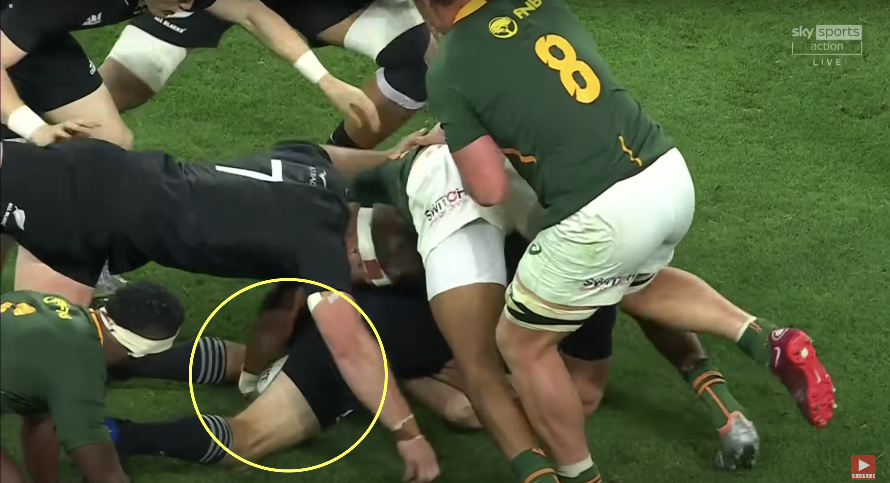 Bok only boosted his world player of the year credentials against the All Blacks