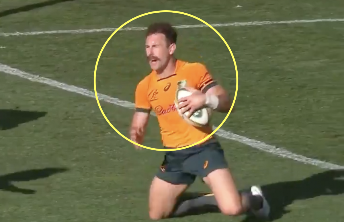 wallaby-reaches-new-low-in-rugby-against-the-springboks-rugby-onslaught