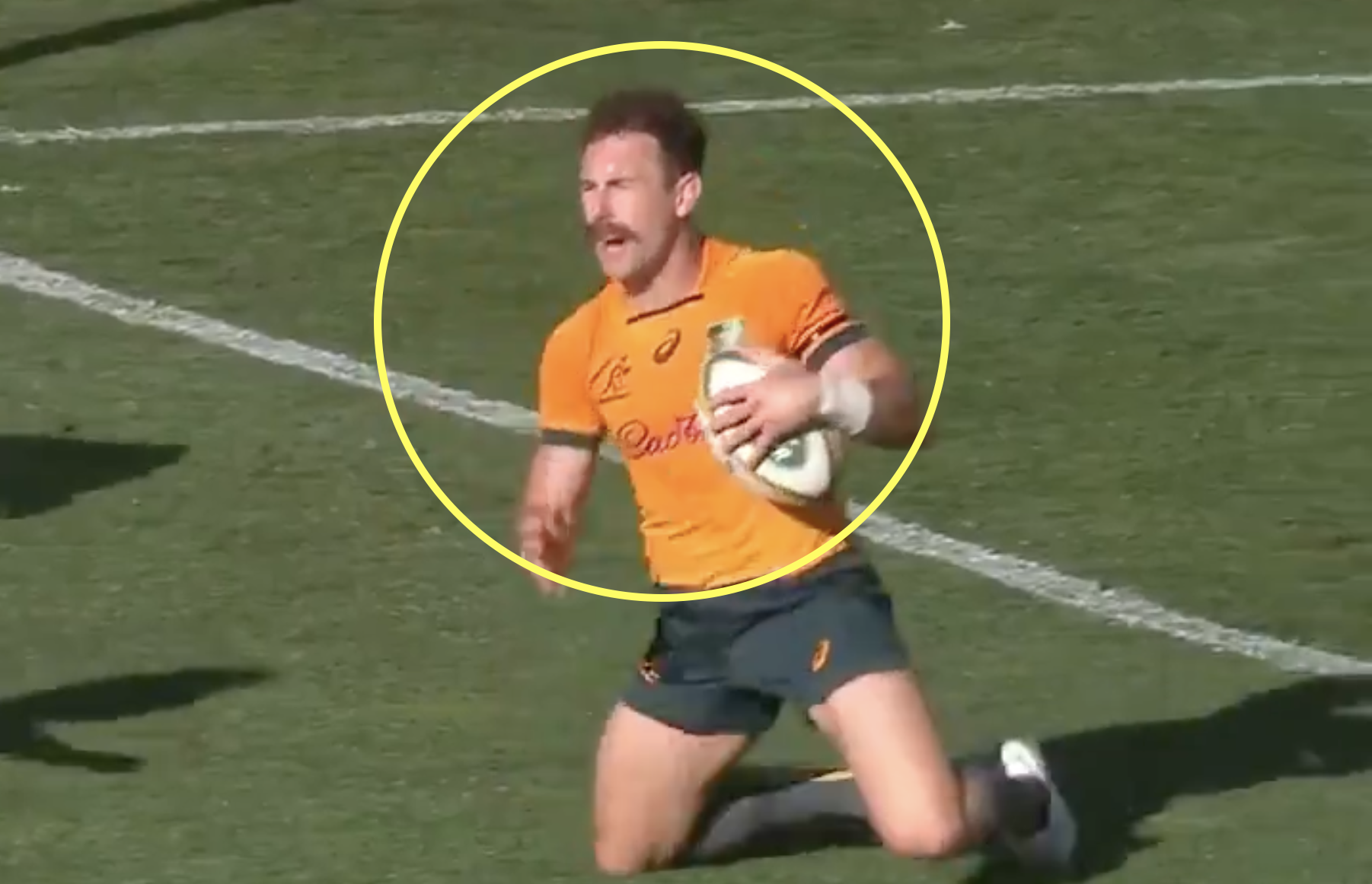 Wallaby reaches new low in rugby against the Springboks