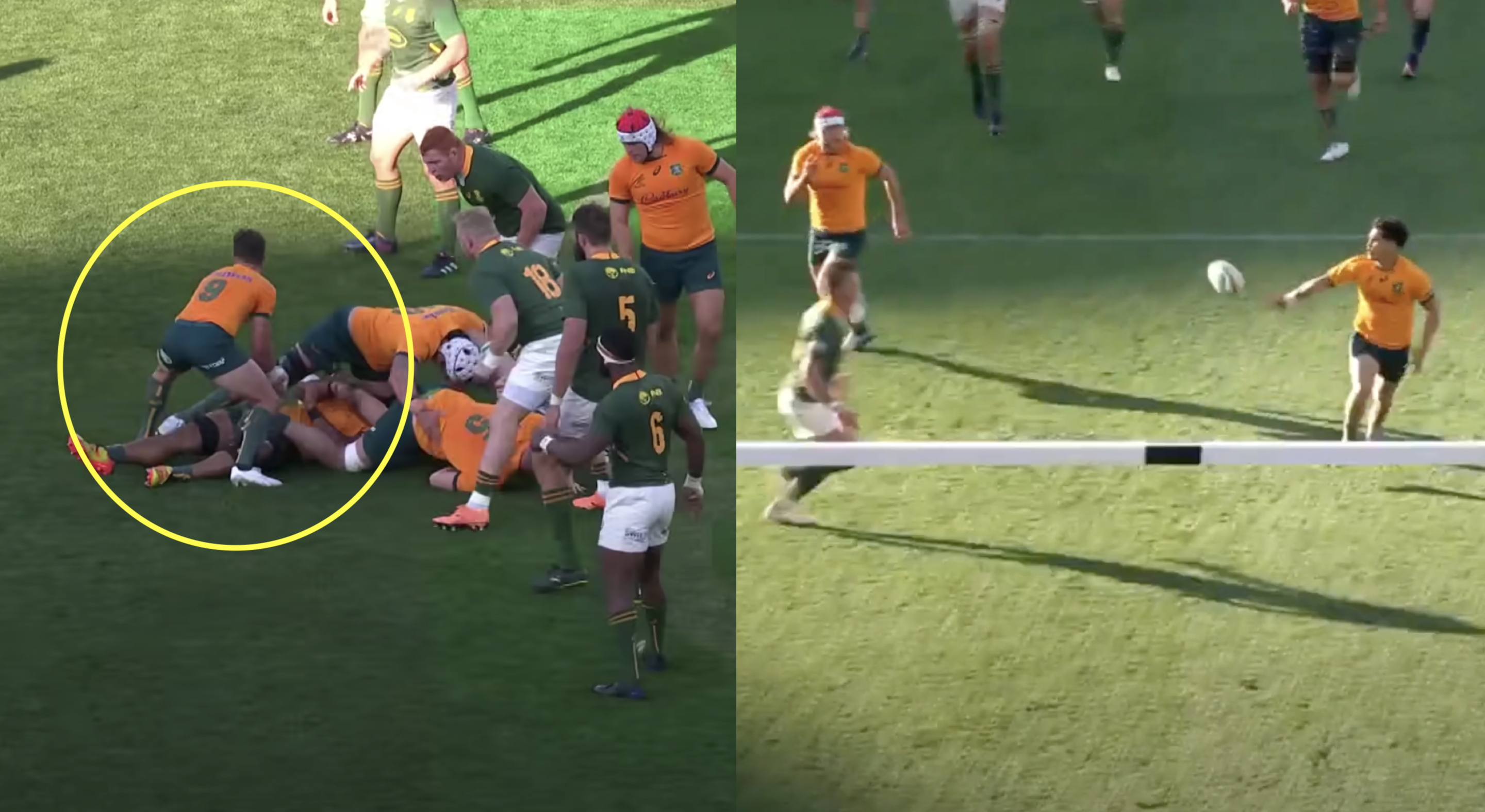 'South African defence was split down the middle'- How White duped the Boks