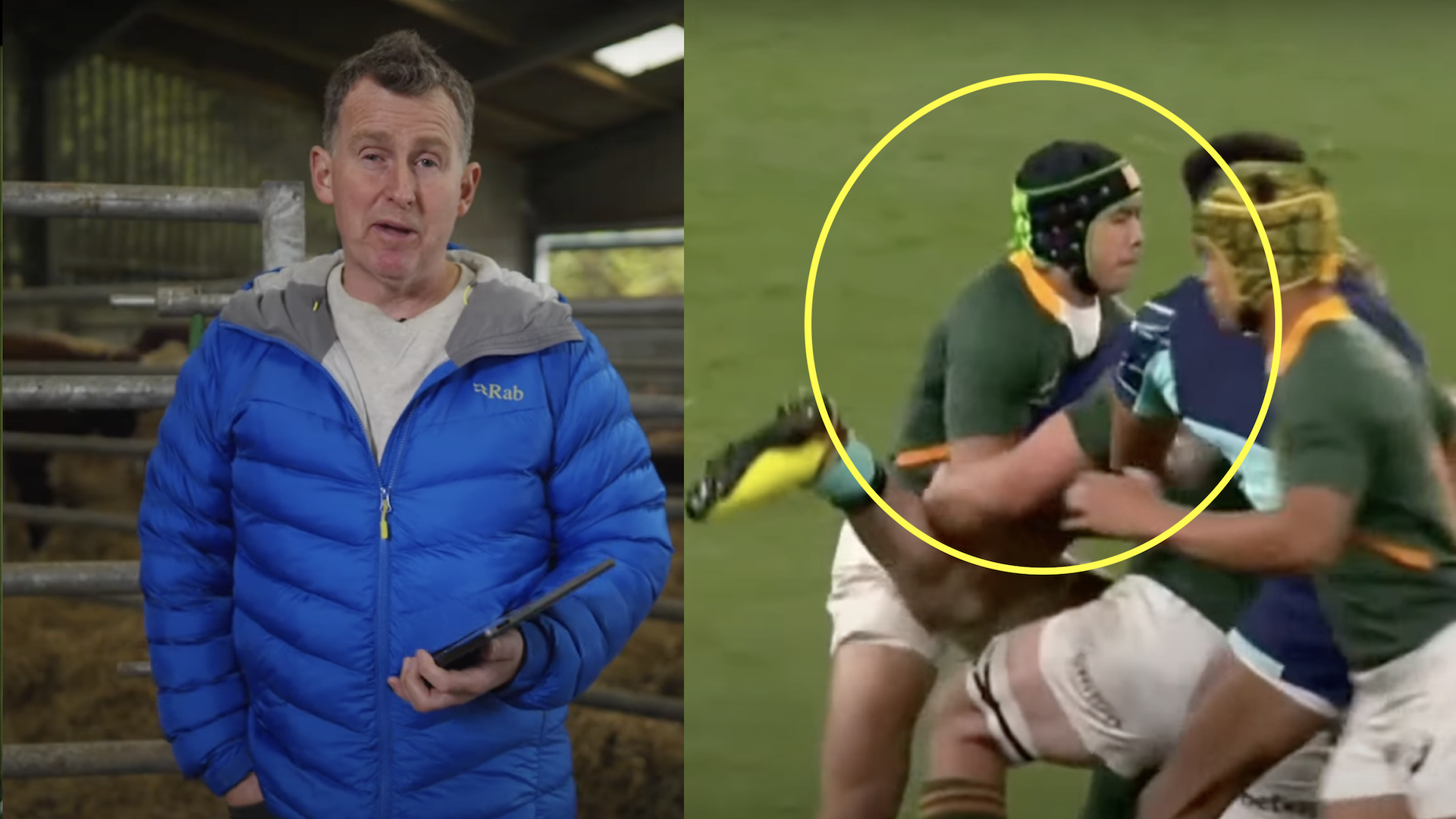 Nigel Owens gives his verdict on despicable Cheslin Kolbe yellow