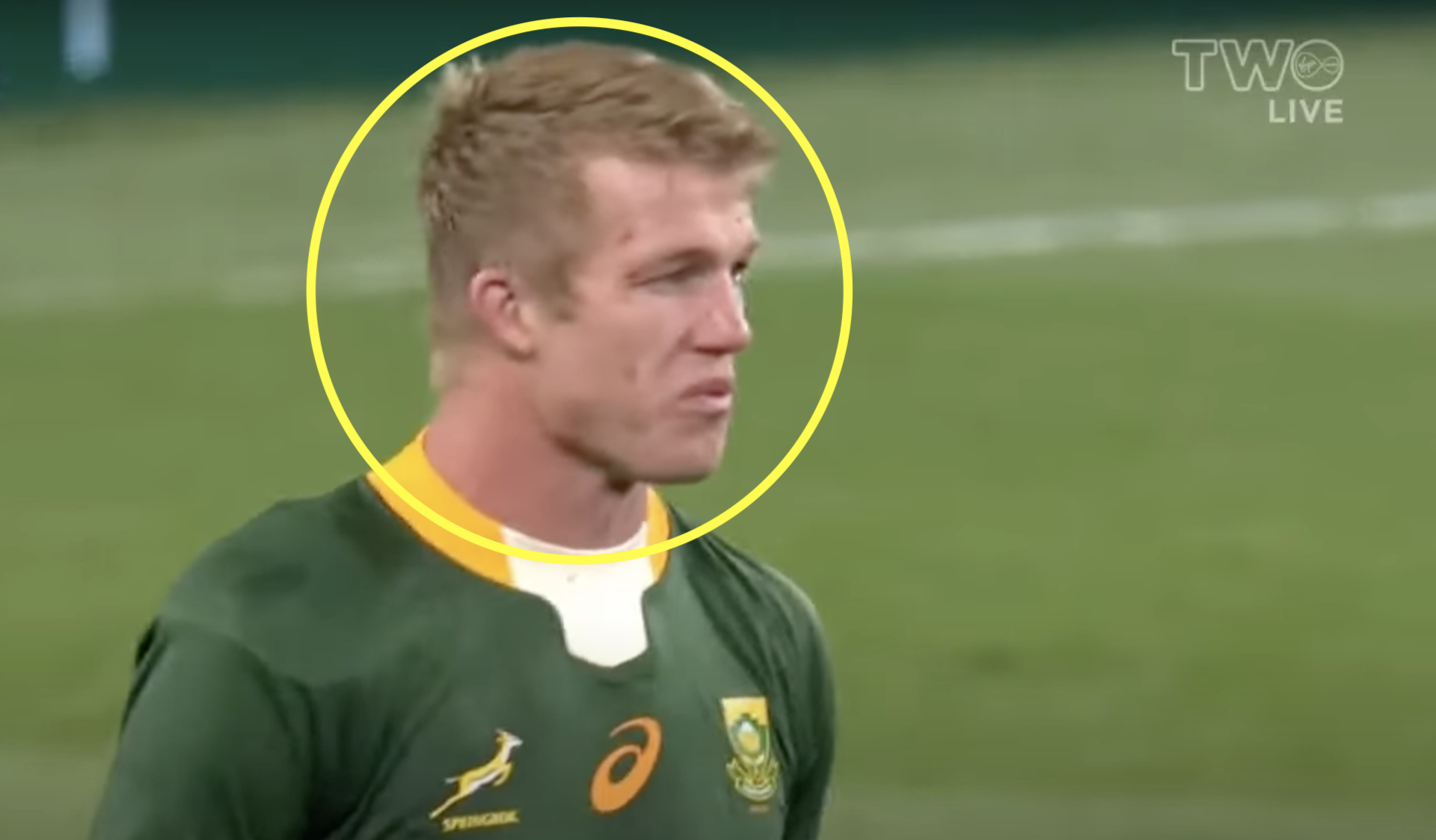 PSDT's beta confession all but confirms Boks have given up on World Cup defence