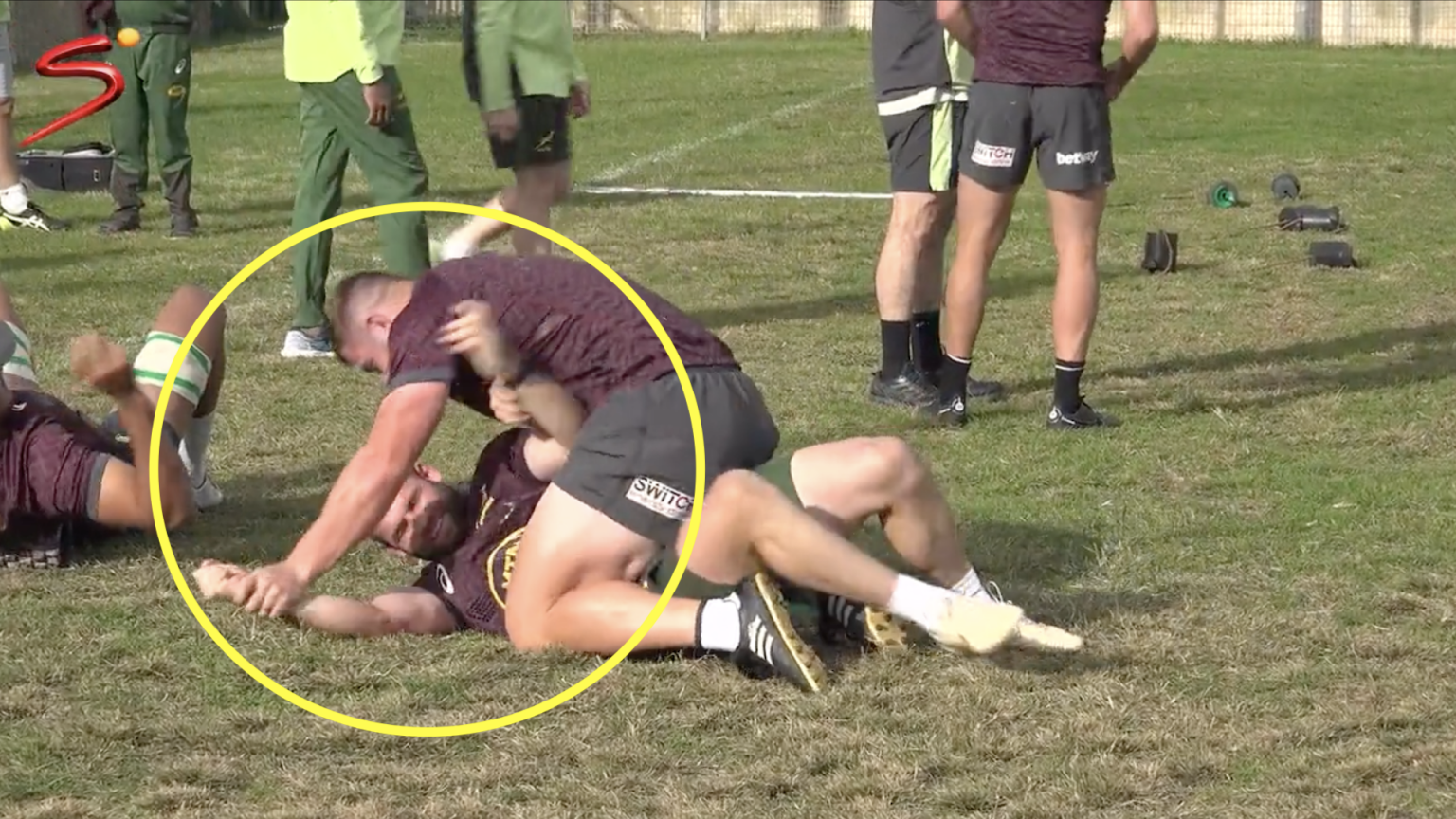 Bizarre training footage reveals how Springboks pick their scrum-halves ...