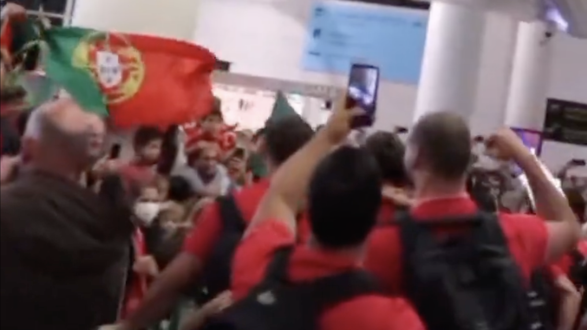 Portugal receive heroes' welcome after World Cup qualification