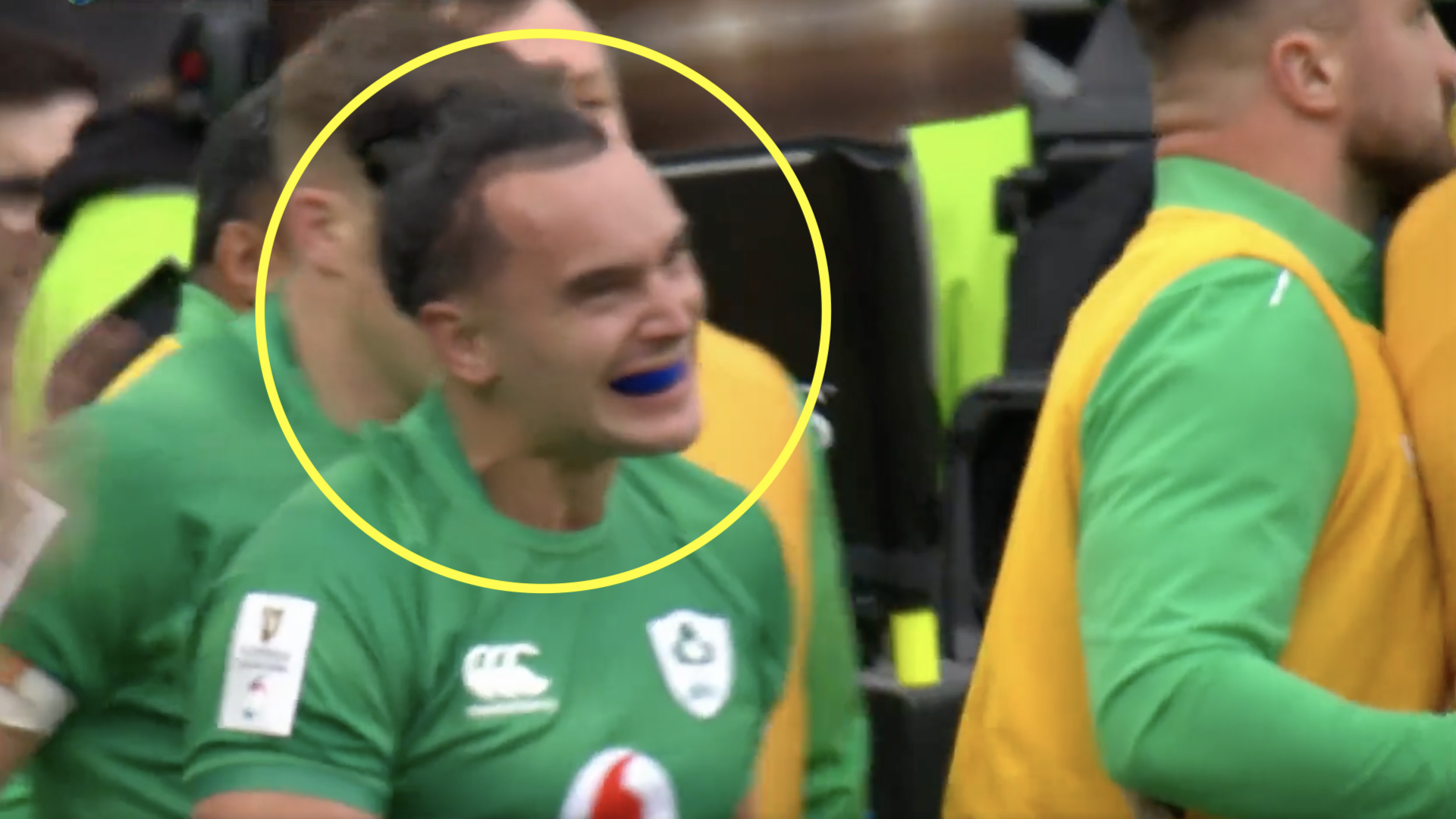 New angle leaves rugby world dumbfounded that Ireland try stood