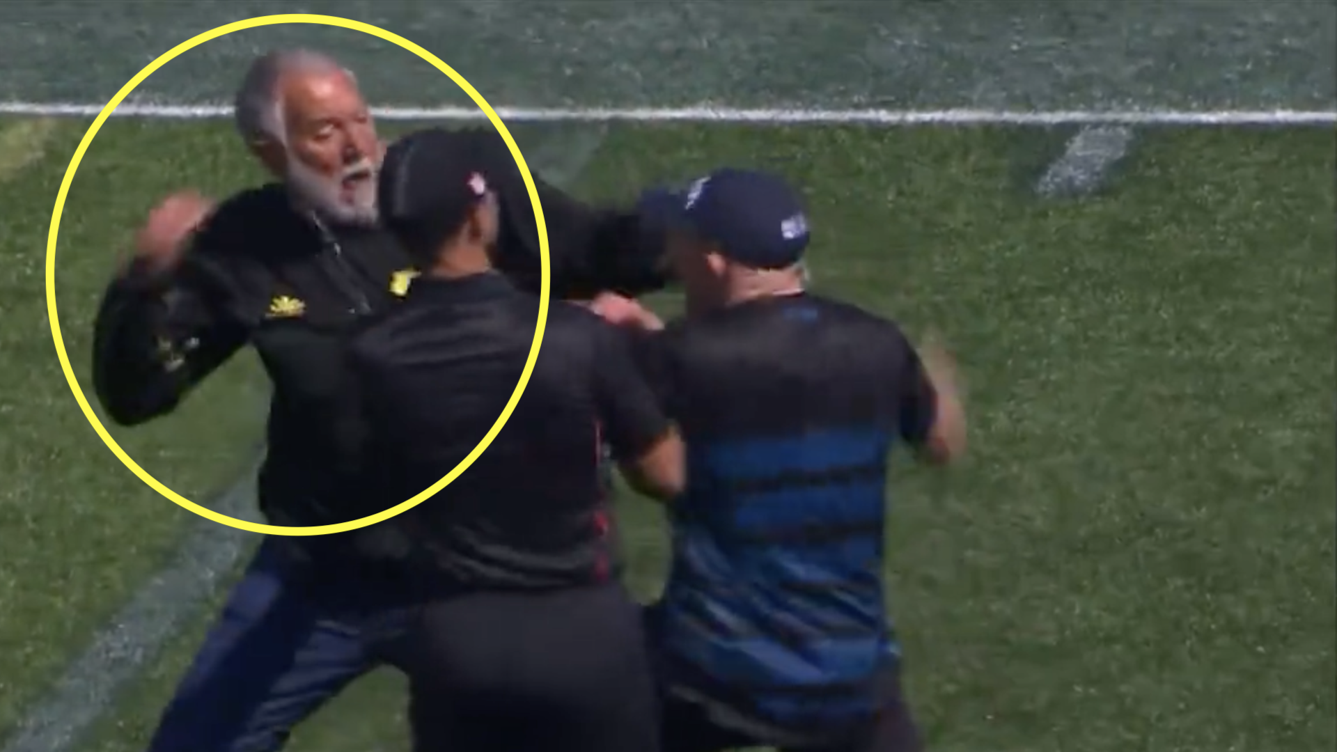 Chaos ensues as players rush in to break up fist fight between coaches in MLR