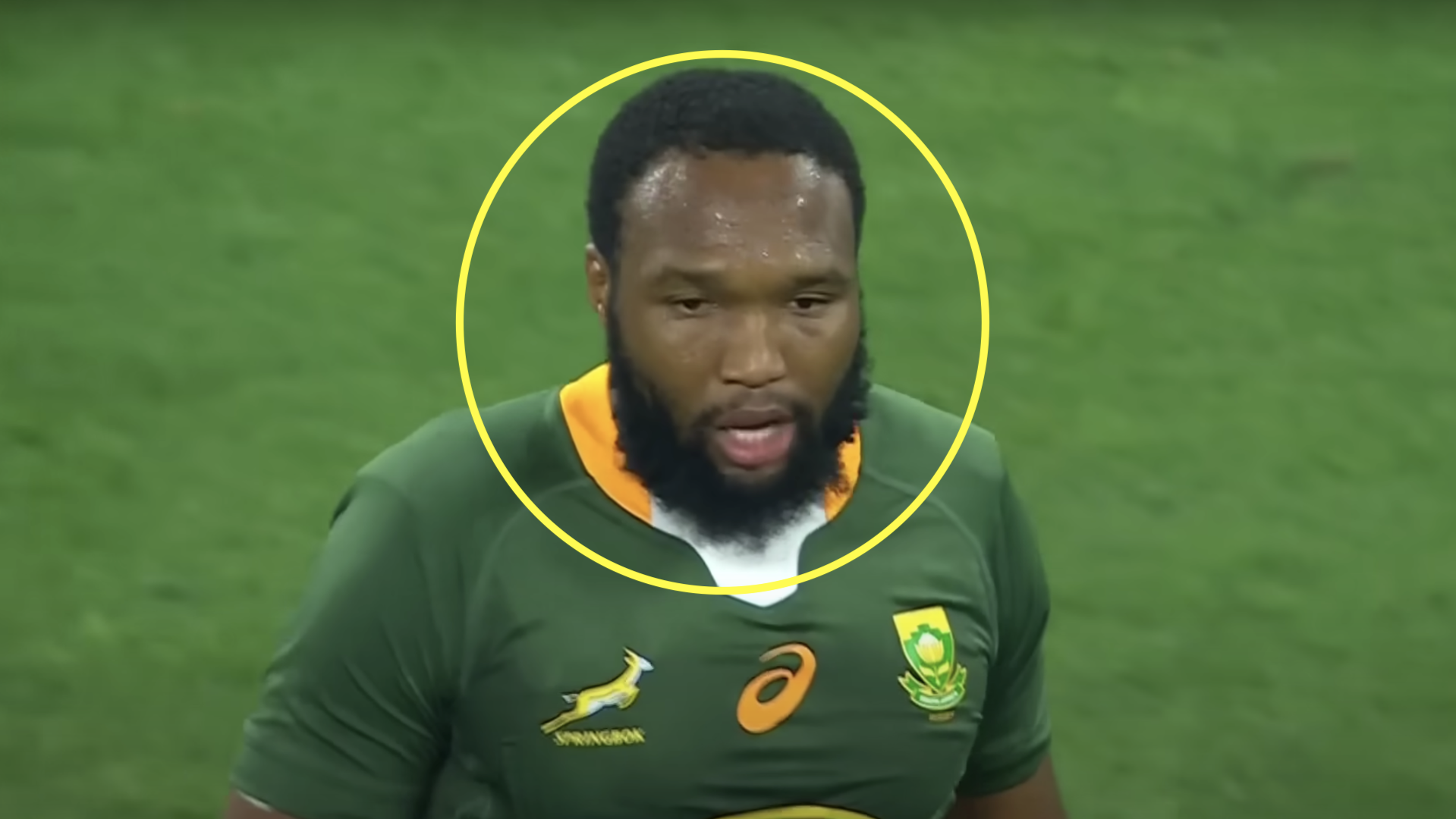 Concerned Bok fans are only saying one thing after team photo