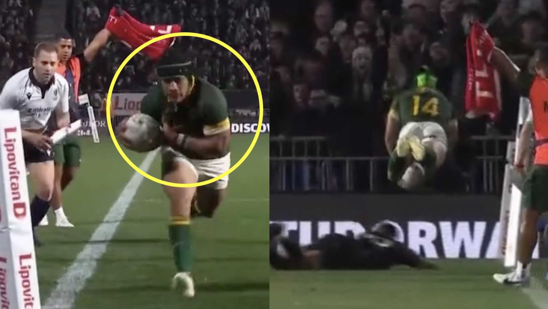 Cheslin Kolbe comes close to humiliating injury after forgetting how to score