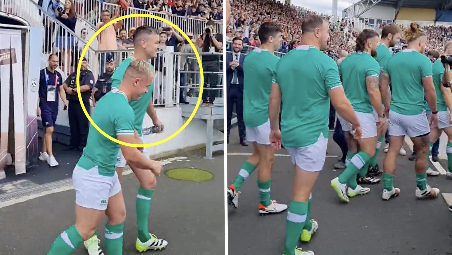Johnny Sexton brutally mocks his own teammate in front of thousands
